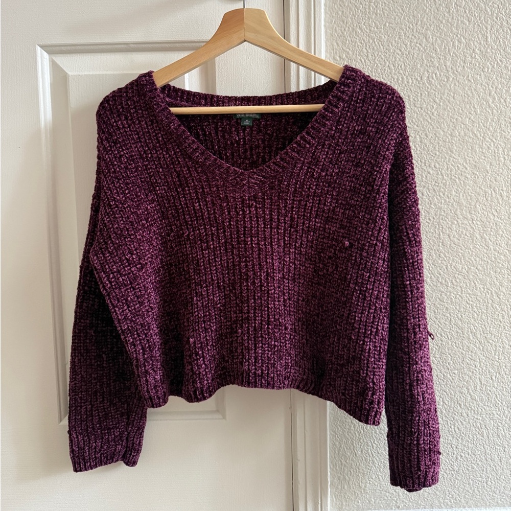 Wild Fable Deep Purple V-Neck Sweater